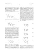 COMPOUNDS AND METHODS FOR KINASE MODULATION, AND INDICATIONS THEREFOR diagram and image