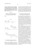 COMPOUNDS AND METHODS FOR KINASE MODULATION, AND INDICATIONS THEREFOR diagram and image