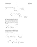 POLYMERIC NANOPARTICLES FOR DRUG DELIVERY diagram and image