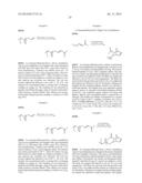 Preparation of Bottlebrush Polymers via Ring-Opening Metathesis     Polymerization diagram and image