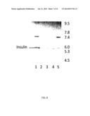 LIQUID INSULIN COMPOSITIONS AND METHODS OF MAKING THE SAME diagram and image