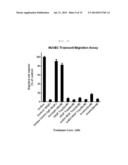 FUSION PROTEIN FOR SUPPRESSING CANCER CELL GROWTH AND SUPPRESSING     VASCULOGENESIS, AND ANTICANCER COMPOSITION COMPRISING SAME diagram and image