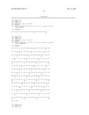 FUSION PROTEIN FOR SUPPRESSING CANCER CELL GROWTH AND SUPPRESSING     VASCULOGENESIS, AND ANTICANCER COMPOSITION COMPRISING SAME diagram and image