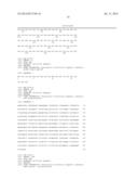 FUSION PROTEIN FOR SUPPRESSING CANCER CELL GROWTH AND SUPPRESSING     VASCULOGENESIS, AND ANTICANCER COMPOSITION COMPRISING SAME diagram and image