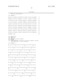 FUSION PROTEIN FOR SUPPRESSING CANCER CELL GROWTH AND SUPPRESSING     VASCULOGENESIS, AND ANTICANCER COMPOSITION COMPRISING SAME diagram and image