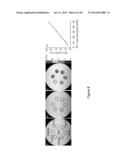 CEST MRI METHODS FOR IMAGING GLUTAMINOLYSIS IN CANCER diagram and image