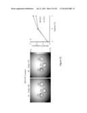 CEST MRI METHODS FOR IMAGING GLUTAMINOLYSIS IN CANCER diagram and image