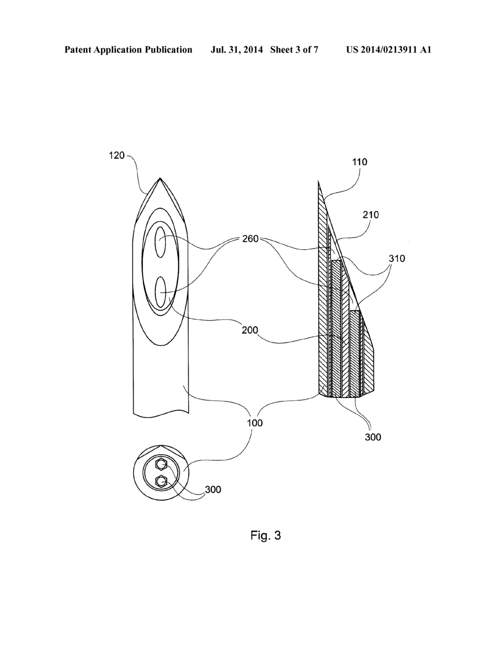 NEEDLE DEVICE WITH AN OPTICAL FIBER INTEGRATED IN A MOVABLE INSERT - diagram, schematic, and image 04