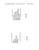 STATUTORY LICENSE RESTRICTED DIGITAL MEDIA PLAYBACK ON PORTABLE DEVICES diagram and image