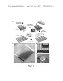 ARRAYS OF ULTRATHIN SILICON SOLAR MICROCELLS diagram and image