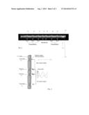 CASING COLLAR LOCATION USING ELECROMAGNETIC WAVE PHASE SHIFT MEASUREMENT diagram and image