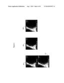 System for Frame Selection for Optimal Registration of a Multi-frame     Dataset diagram and image