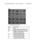 PHARMACEUTICAL COMPOSITION FOR TREATING CANCER, COMPRISING INTERFERON     ALPHA CONJUGATE diagram and image