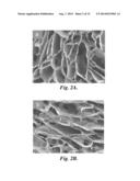POROUS CHITOSAN SCAFFOLDS AND RELATED METHODS diagram and image