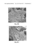 POROUS CHITOSAN SCAFFOLDS AND RELATED METHODS diagram and image