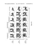 SWITCH COSTIMULATORY RECEPTORS diagram and image