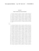 N-Cadherin: Target for Cancer Diagnosis and Therapy diagram and image