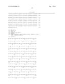 N-Cadherin: Target for Cancer Diagnosis and Therapy diagram and image