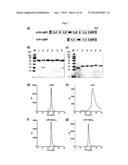 SERUM HALF-LIFE EXTENSION USING IGBD diagram and image