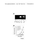 PTHRP, ITS ISOFORMS AND ANTAGONIST THERETO IN THE DIAGNOSIS AND TREATMENT     OF DISEASE diagram and image