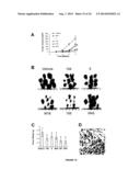 PTHRP, ITS ISOFORMS AND ANTAGONIST THERETO IN THE DIAGNOSIS AND TREATMENT     OF DISEASE diagram and image