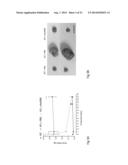 Administration of an Anti-Activin-A Compound to a Subject diagram and image