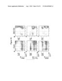 MICRORNA INHIBITION FOR THE TREATMENT OF INFLAMMATION AND     MYELOPROLIFERATIVE DISORDERS diagram and image