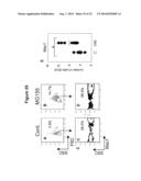 MICRORNA INHIBITION FOR THE TREATMENT OF INFLAMMATION AND     MYELOPROLIFERATIVE DISORDERS diagram and image