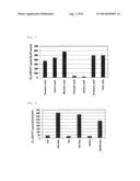 WT1 PEPTIDE CANCER VACCINE COMPOSITION FOR TRANSDERMAL ADMINISTRATION diagram and image