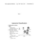 REMOTE LOADING OF SPARINGLY WATER-SOLUBLE DRUGS INTO LIPOSOMES diagram and image