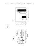 NANOPARTICLE ARSENIC-PLATINUM COMPOSITIONS diagram and image