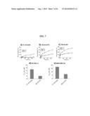 NANOPARTICLE ARSENIC-PLATINUM COMPOSITIONS diagram and image