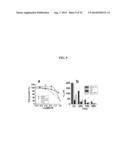 NANOPARTICLE ARSENIC-PLATINUM COMPOSITIONS diagram and image