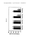 NANOPARTICLE ARSENIC-PLATINUM COMPOSITIONS diagram and image