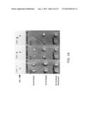 SYSTEM AND METHOD FOR DELIVERING PROTEASE INHIBITORS diagram and image