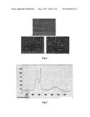 BIOCHIP SUBSTRATE AND METHOD FOR PRODUCING SAME diagram and image