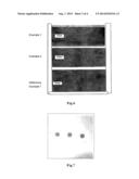 BIOCHIP SUBSTRATE AND METHOD FOR PRODUCING SAME diagram and image