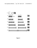 STRETCHABLE ELECTRONIC SYSTEMS WITH FLUID CONTAINMENT diagram and image