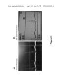 STRETCHABLE ELECTRONIC SYSTEMS WITH FLUID CONTAINMENT diagram and image