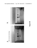 STRETCHABLE ELECTRONIC SYSTEMS WITH FLUID CONTAINMENT diagram and image