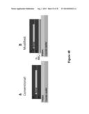 STRETCHABLE ELECTRONIC SYSTEMS WITH FLUID CONTAINMENT diagram and image