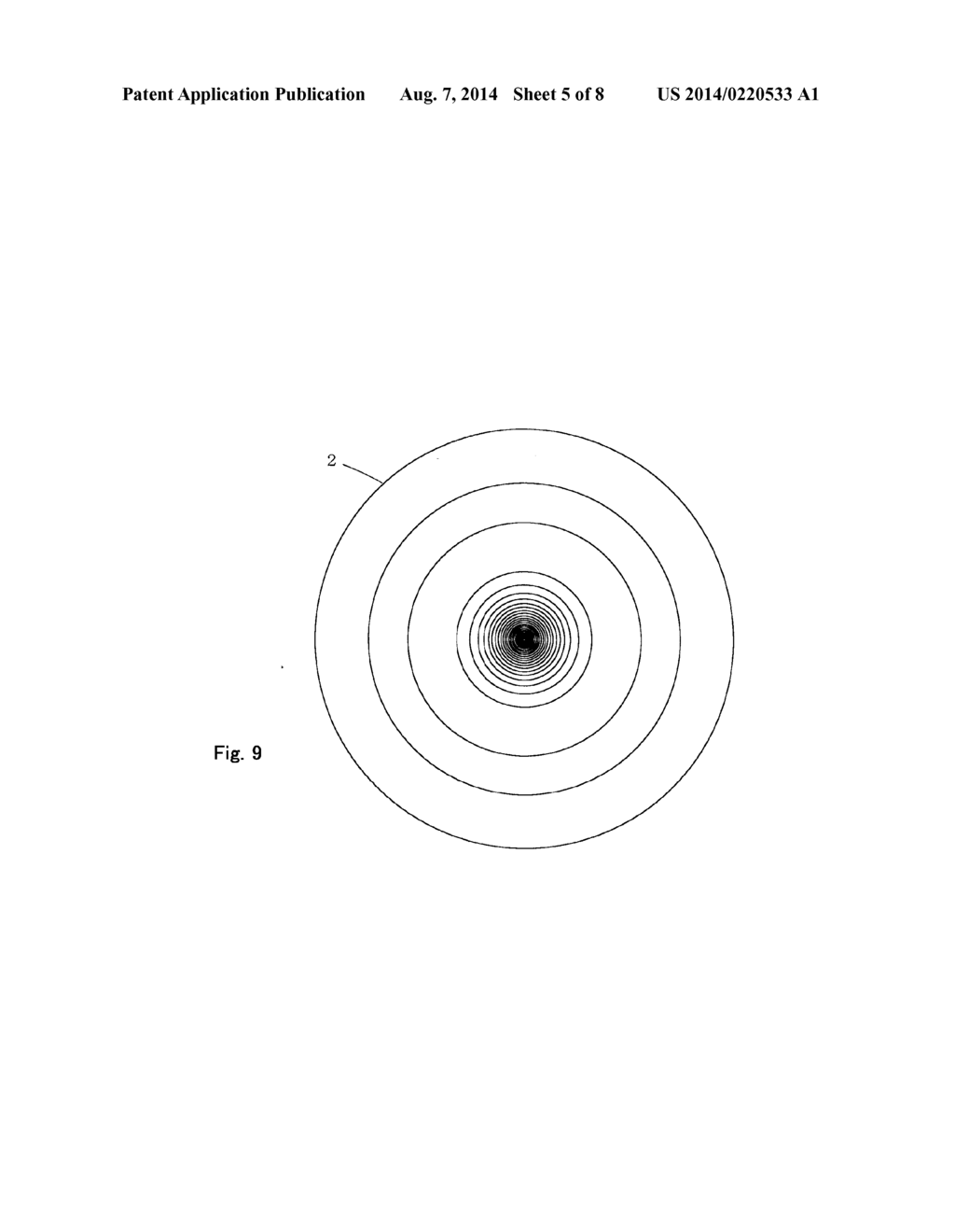 METHOD OF DISPLAYING ELECTROMAGNETIC FIELD IN HYDROGEN ATOM - diagram, schematic, and image 06