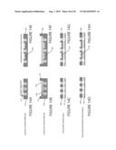 Device and Method for Laser Analysis and Separation (LAS) of Particles diagram and image