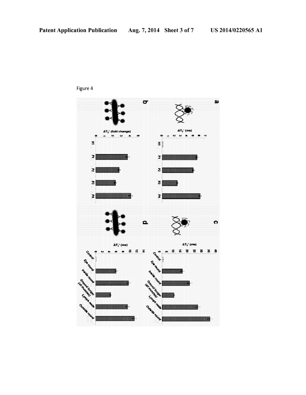 Microbe Detection Via Hybridizing Magnetic Relaxation Nanosensors - diagram, schematic, and image 04