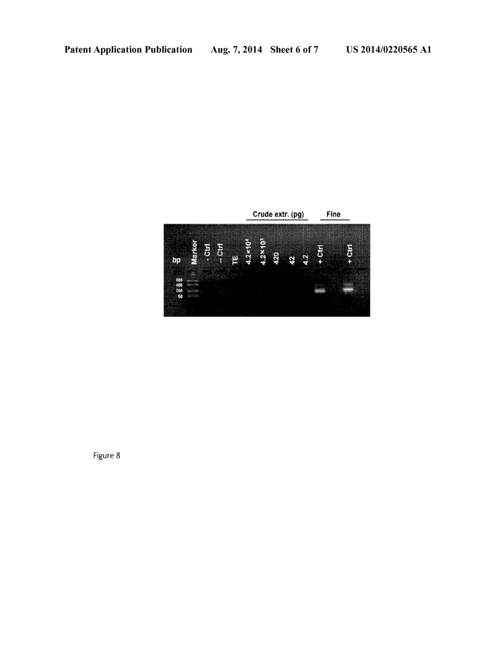 Microbe Detection Via Hybridizing Magnetic Relaxation Nanosensors - diagram, schematic, and image 07