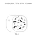 FILTERING SMALL NUCLEIC ACIDS USING PERMEABILIZED CELLS diagram and image