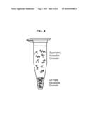 FILTERING SMALL NUCLEIC ACIDS USING PERMEABILIZED CELLS diagram and image