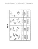 FILTERING SMALL NUCLEIC ACIDS USING PERMEABILIZED CELLS diagram and image