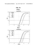 FILTERING SMALL NUCLEIC ACIDS USING PERMEABILIZED CELLS diagram and image