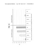 FILTERING SMALL NUCLEIC ACIDS USING PERMEABILIZED CELLS diagram and image